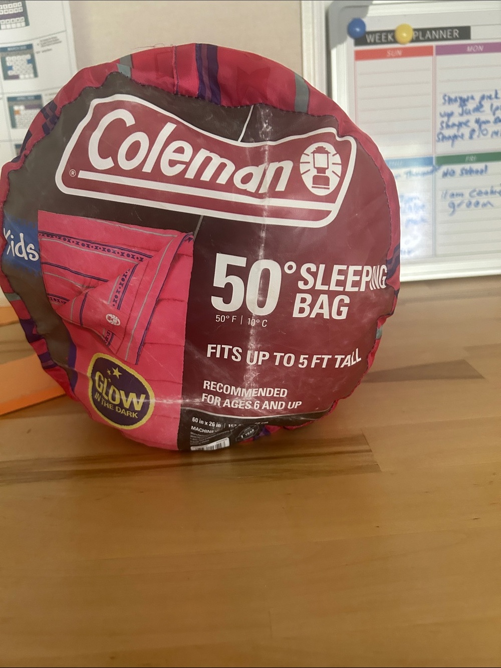 Coleman Kids Sleeping Bag in Pink and Red Stripe